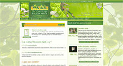 Desktop Screenshot of dvv.cz